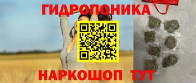 spice Будённовск