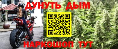 spice Будённовск
