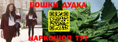 индика Камышлов