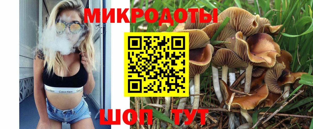 Вологда  Галлюциногенные грибы MAGIC MUSHROOMS  Вход с VPN  Галлюциногенные грибы ЛСД 